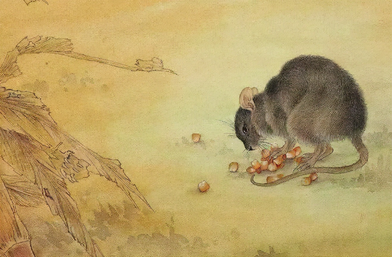 华夏风范丨十二生肖：鼠
