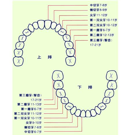 梦到掉牙齿是什么意思