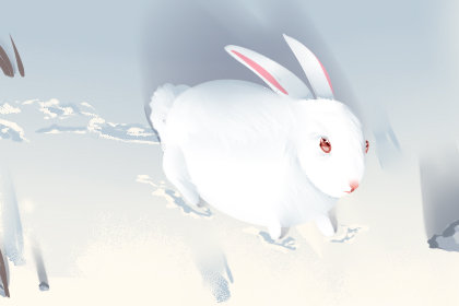 梦见抓了一只兔子有什么征兆